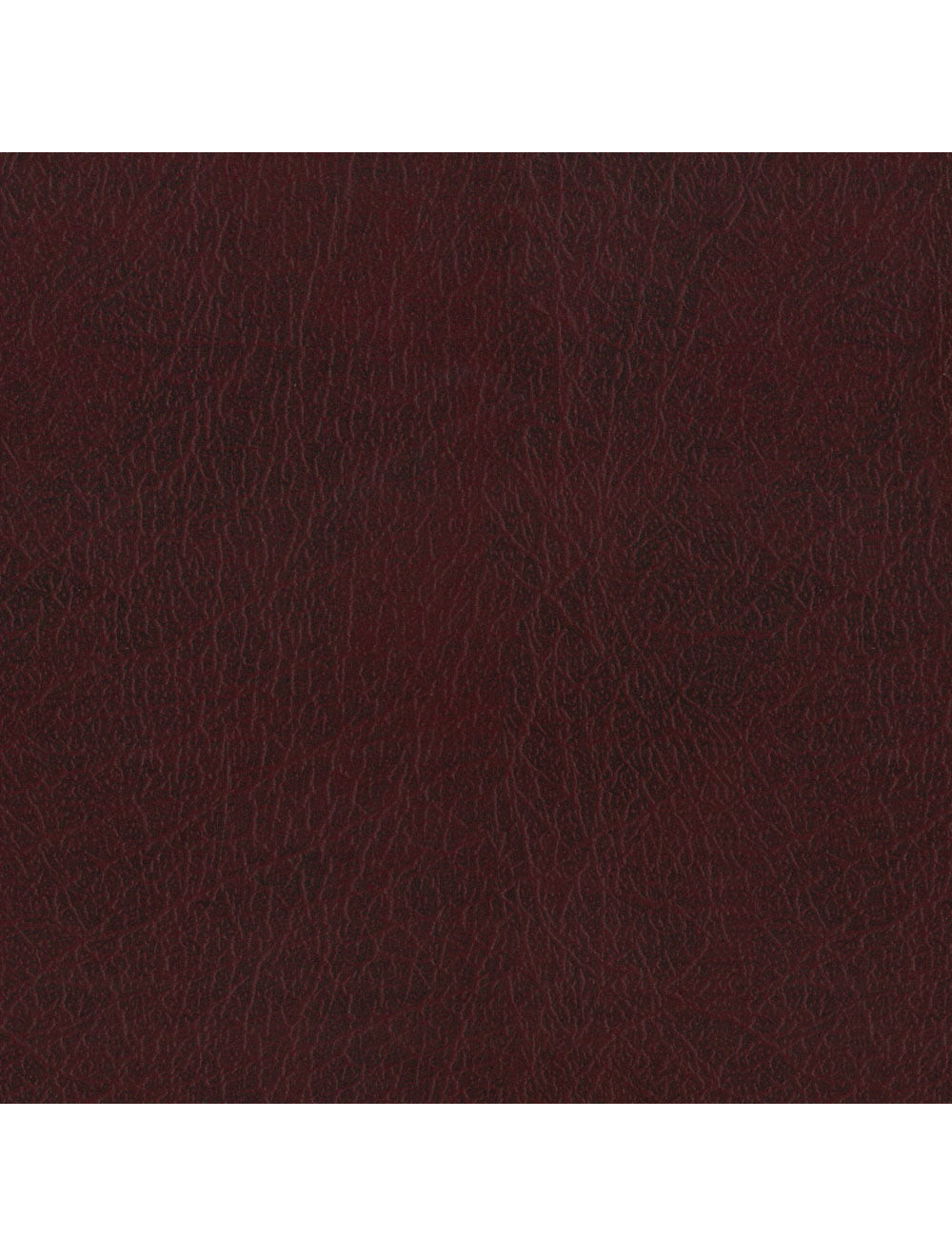 New Delhi Burgundy Material Swatch