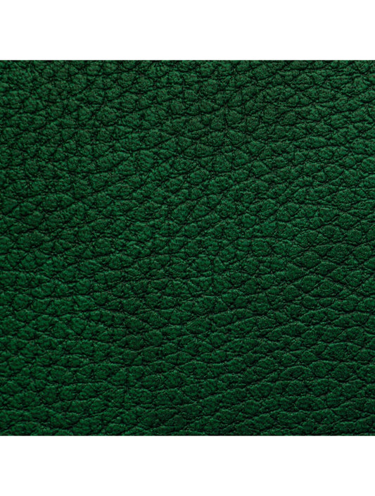 Dublin Green Material Swatch (4720)