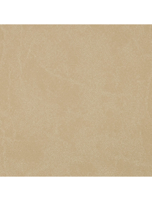 Rome Sand Material Swatch (A788-3253)