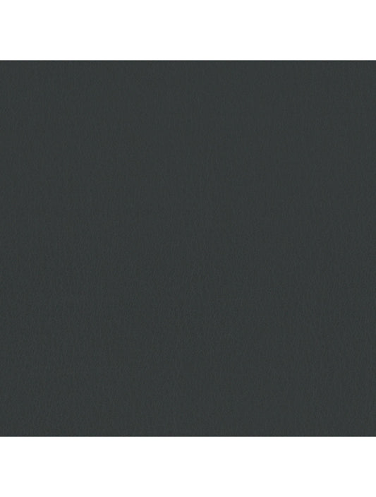 Tokyo Gunmetal Material Swatch