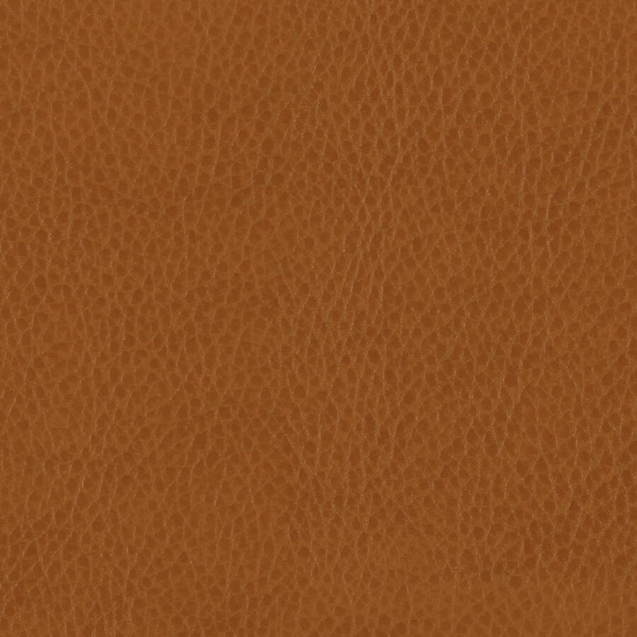 Zurich Tan Material Swatch