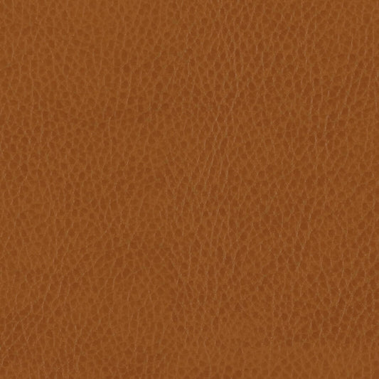 Zurich Tan Material Swatch